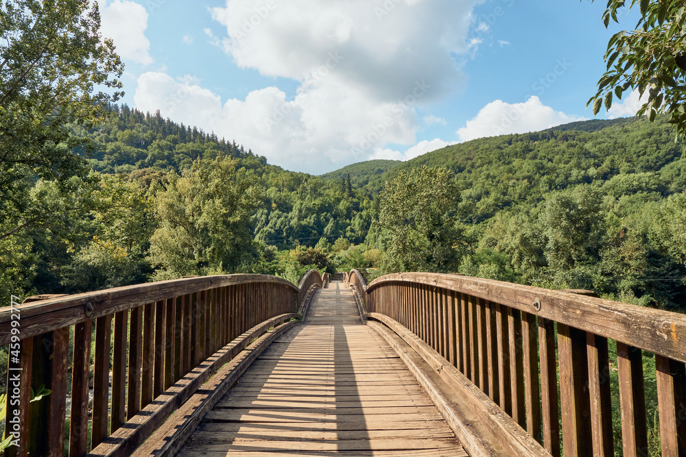 Wooden bridge in the mountain