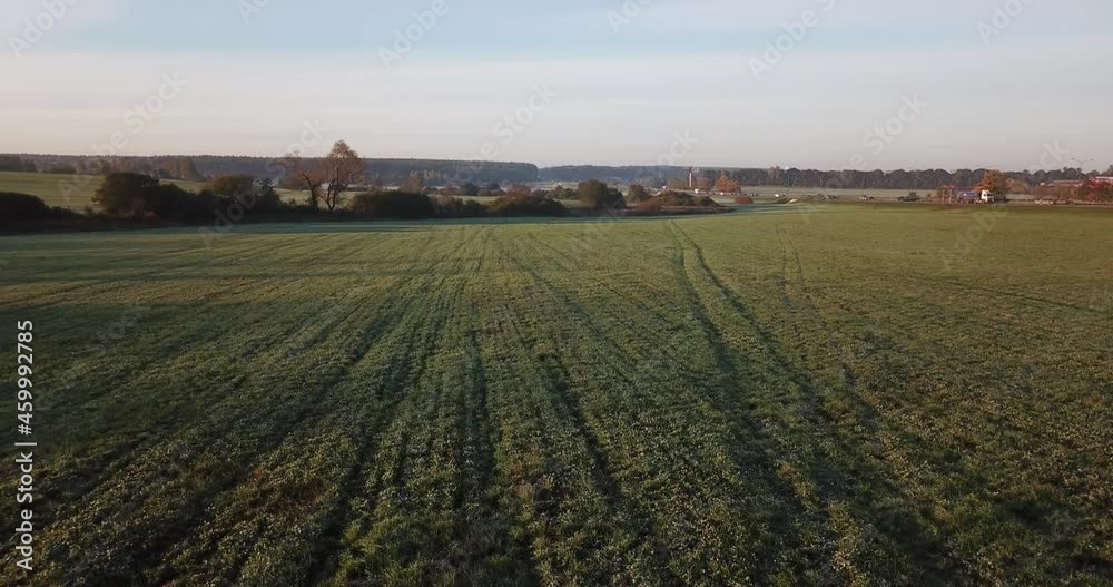 4K bright sunny autumn morning aerial drone video of frozen field, federal highway and yellow red forest in Moscow region, Russia 4K bright sunny autumn morning aerial drone video of frozen field, federal highway and yellow red forest in Moscow region, Russia