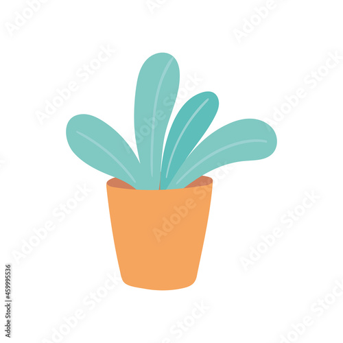 houseplant garden decoration