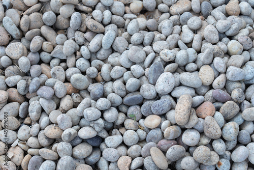 Piedras blancas