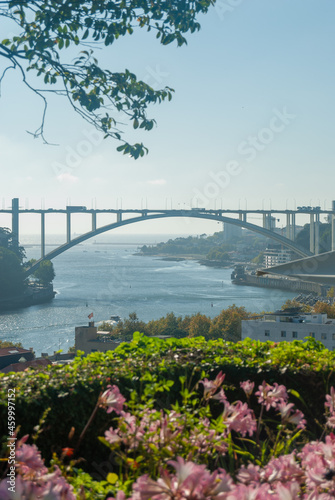 Vertical view of the Arrabida Bridge and river Douro with beautiful pink flowers in the foreground scenic composition landscape - Porto, Portugal, Vertical