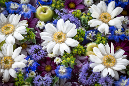Composition of white  blue and purple flowers