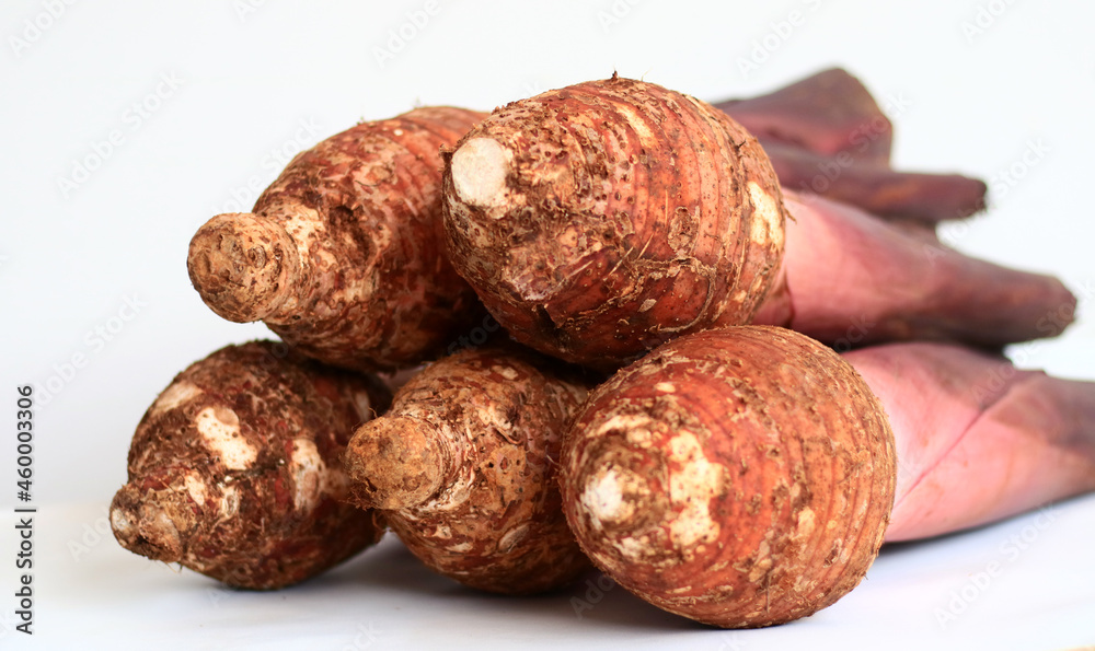 Red Taro or Colocasia esculenta on white background. Red Taro or Colocasia esculenta on white background.