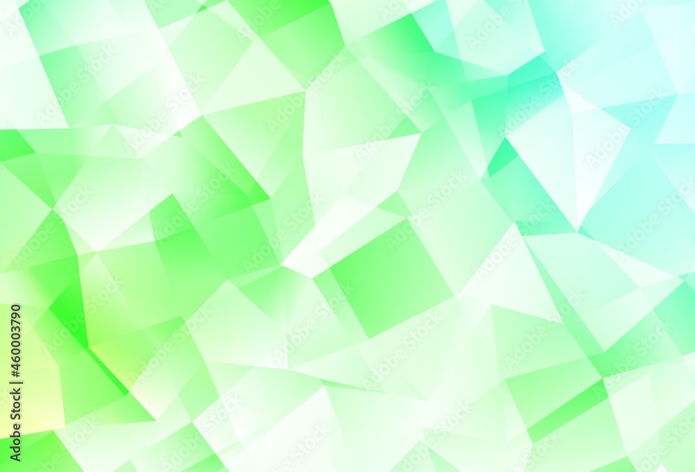 Obraz premium Light Green vector low poly layout.