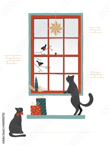 Two cute cats look through window. Winter scene for Christmas card.