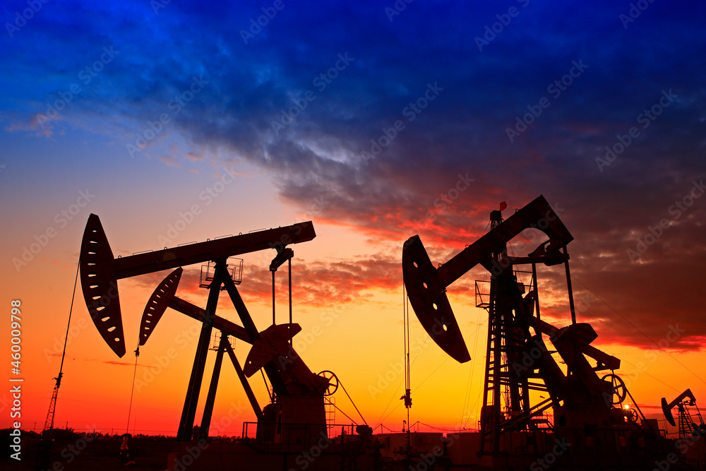 The oil pump, industrial equipment The oil pump, industrial equipment