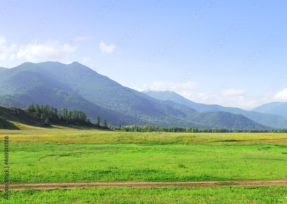 Sunny valley in the Altai mountains