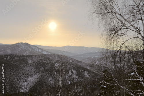 Morning sun in the foothills of the Altai
