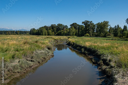 waterway in the wetland lead to the far end forest under the blue sky © Yi