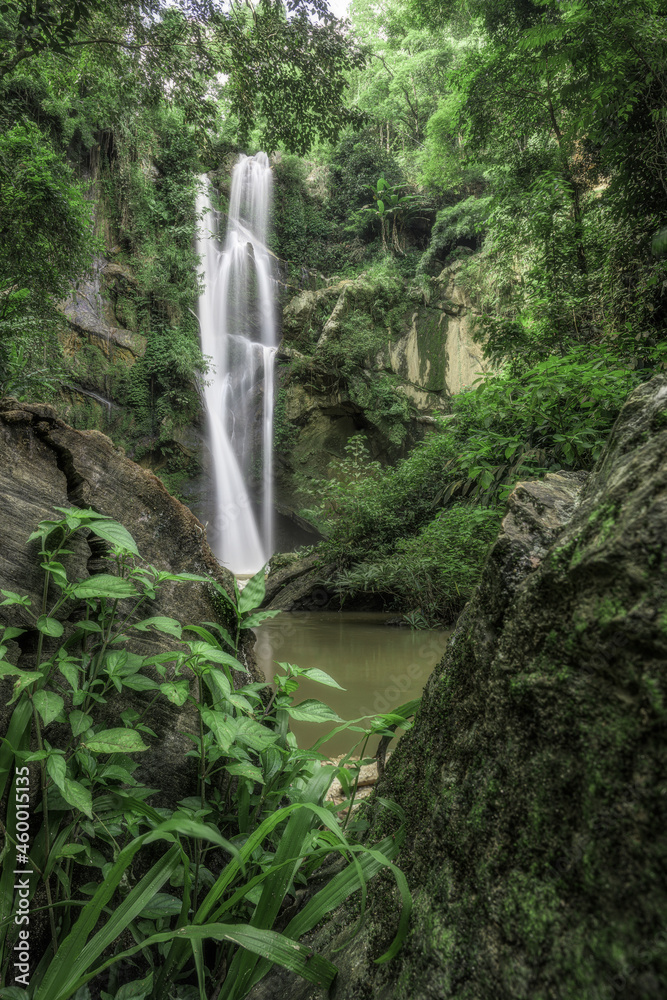 waterfall in the forest waterfall in the forest
