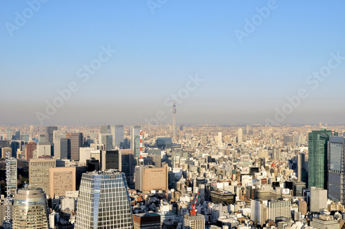 東京タワーからスカイツリー方面の景色 photo