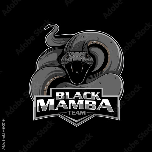 Black Mamba and the kiss of death insignia vector format in separated layers for editing photo