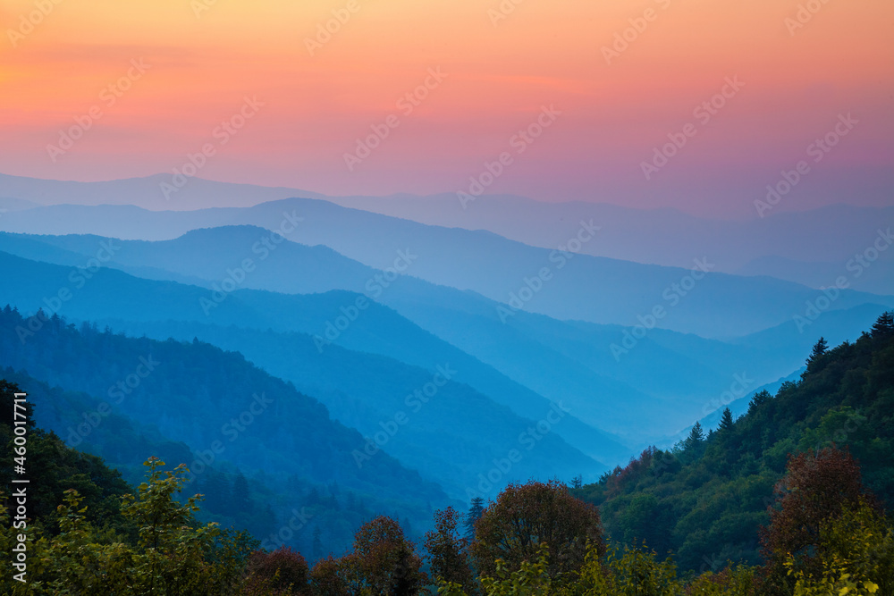 Fototapeta premium Misty Smoky Mountain Morning