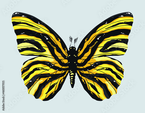 Tiger moth t-shirt design
