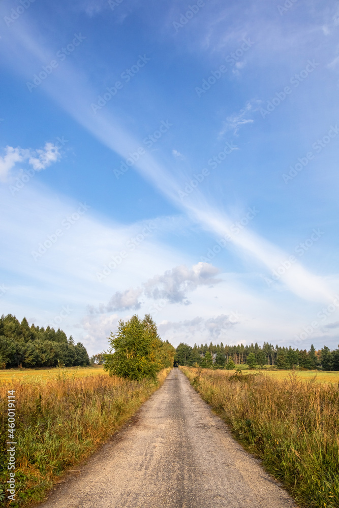 Straight path between meadows and forest under blue sky
