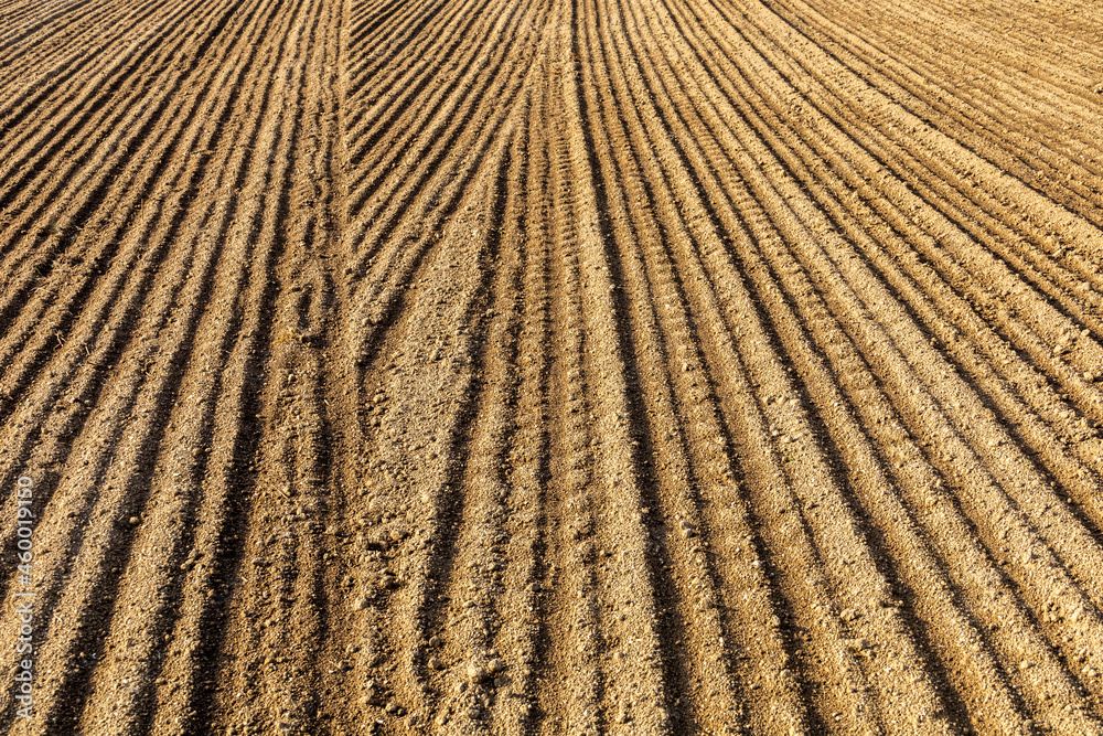 Detail of empty field with lines Detail of empty field with lines