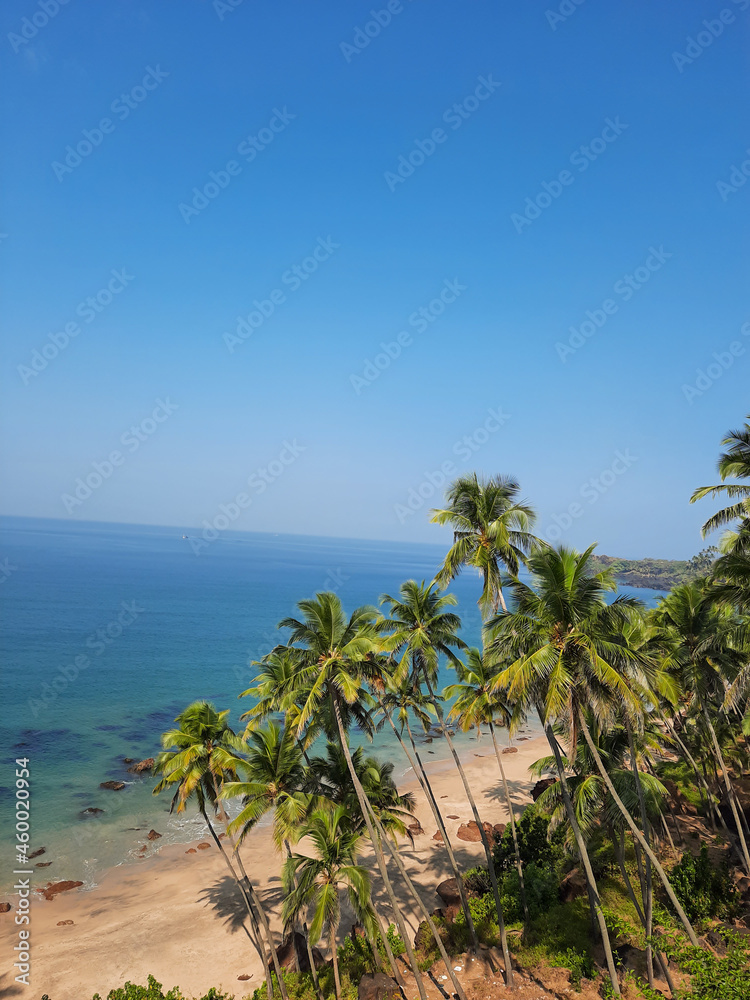 Blue clean water with palm trees in goa beach. Cabo de rama beach. 