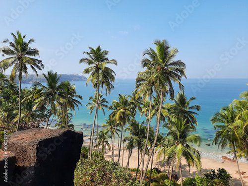 palm trees and blue water. turquoise ocean against blue sky with clouds on sunny summer day. Background for travel and vacation. goa beach. 
