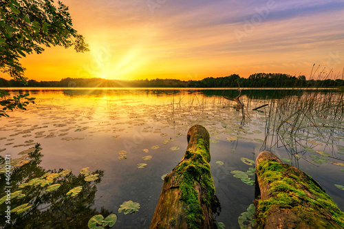 Fototapeta Naklejka Na Ścianę i Meble -  Beautiful summer sunrise over lake