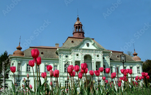 Zrenjanin Serbia Town house with tulips photo