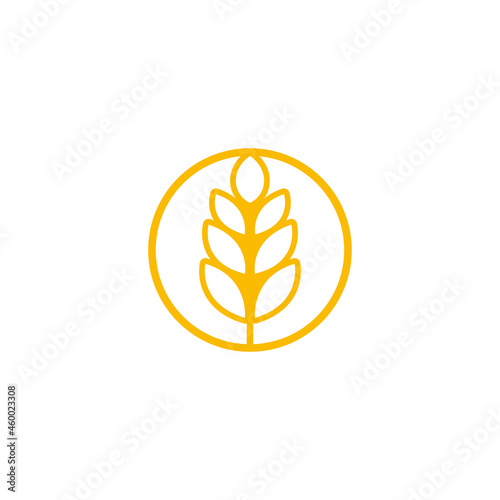 circle yellow paddy wheat barley plant harvest agriculture image vector - Vector