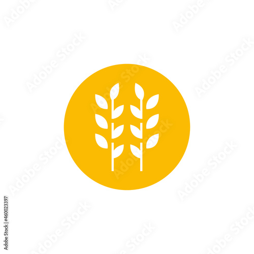 circle yellow paddy wheat barley plant harvest agriculture image vector - Vector