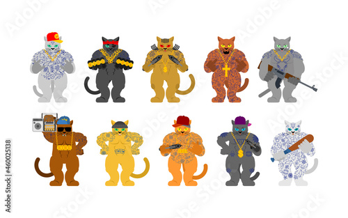 Cat gang set. Cat Gangsta. Angry pet bully member of gang of street criminals. Tattoos and weapons, gold chain and gun