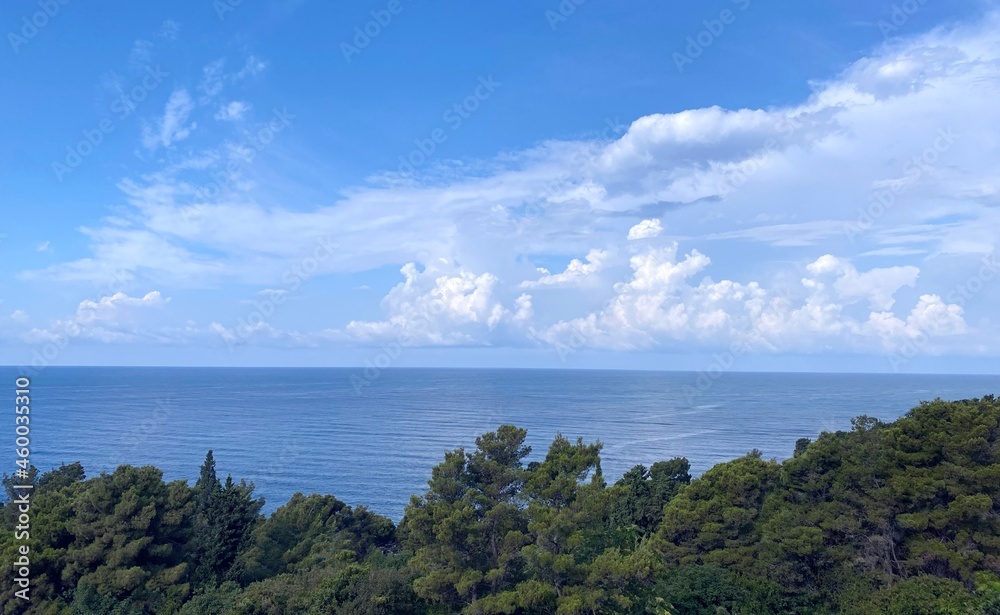 Clouds sky over calm blue sea and dense conifer forest of Mediterranean coast at summer season.