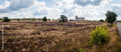 The 'Kootwijker sand' nature reserve with beautiful heather fields and the old radio station 'radio Kootwijk' that was in use in the early 20th century photo