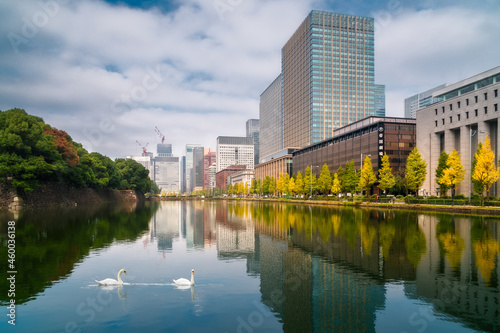 Beautiful scene with reflections in water  in autumn at the lake surrounding the historical fortified walls of the Imperial Palace grounds in Chiyoda's Marunouchi business district in Tokyo Japan. © Daniela Photography