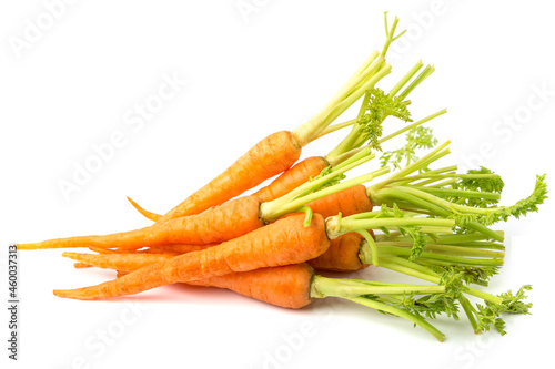fresh carrots with leaves isolated on white background