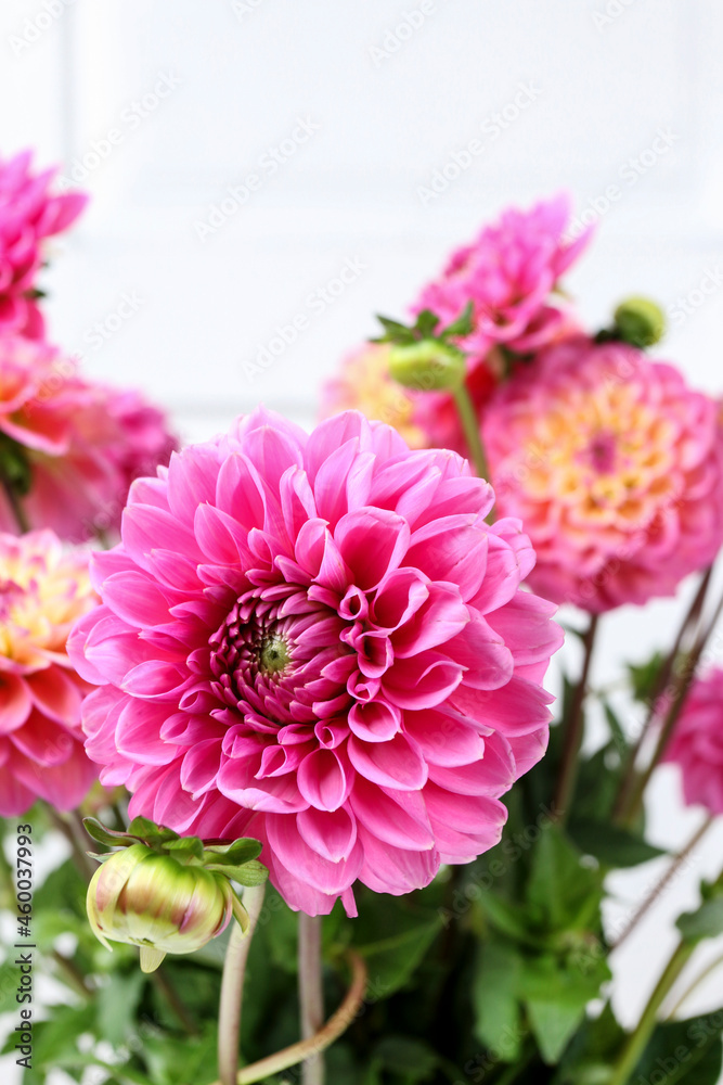 Fototapeta premium Autumn bouquet of garden flowers.