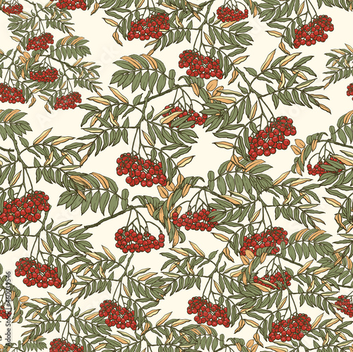 Background with branches and berries of rowan. Rowan seamless pattern. Leaves and red berries of rowan on a light background. Hand drawn in ink and converted to vector.