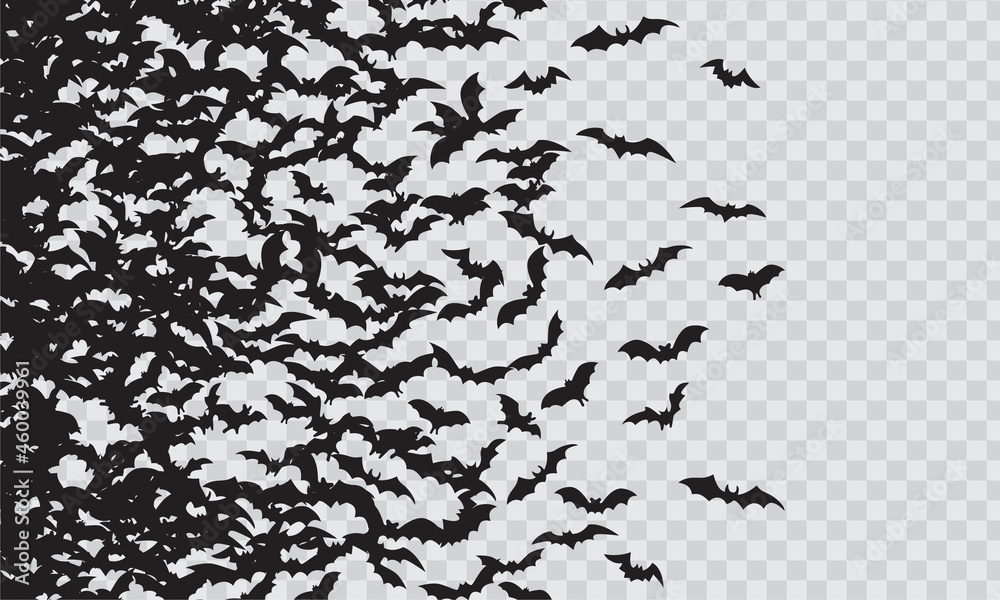 Black silhouette of flying bats flock isolated on transparent ...