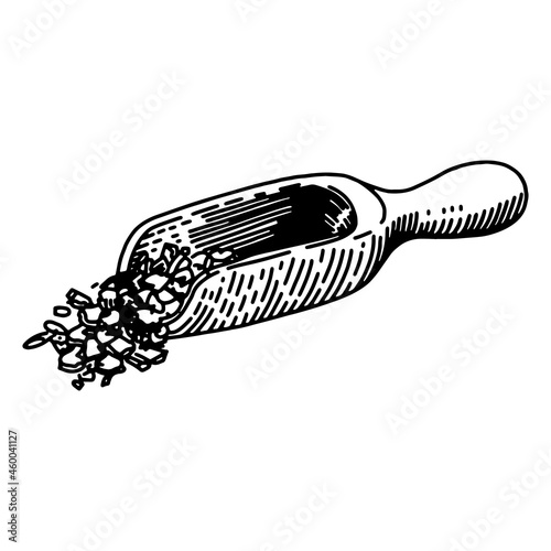 Wooden scoop with tea engraving. Beautiful measuring dishes in sketch style. Vector illustration