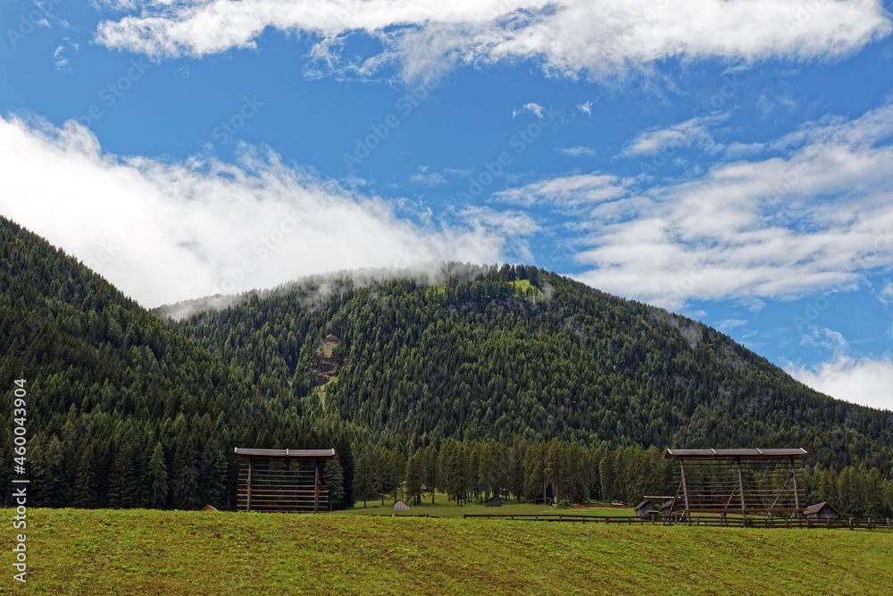 Bewaldete Berghänge mit Nebel und Wolken, Südtirol, Pustertal, Alpen, Italien, Europa Bewaldete Berghänge mit Nebel und Wolken, Südtirol, Pustertal, Alpen, Italien, Europa
