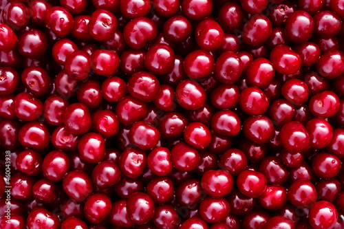 red cherries background