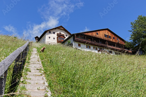 Steile Treppe durch eine Wiese zu einem alten Bauernhaus, Tirol, Alpen, Europa