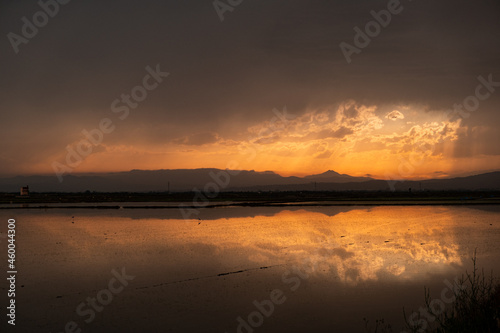 Atardecer en los arrozales.