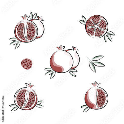 fruit pomegranate set template abstraction print vector illustration