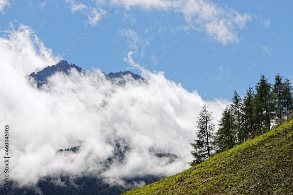 Abgemähte Bergwiesen mit dem Gipfel der Schusterspitze in den Sextner Dolomiten, Pustertal, Alpen, Südtirol, Italien Abgemähte Bergwiesen mit dem Gipfel der Schusterspitze in den Sextner Dolomiten, Pustertal, Alpen, Südtirol, Italien