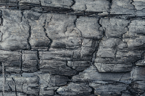 Grunge. Burned wood texture. Black background © komokvm
