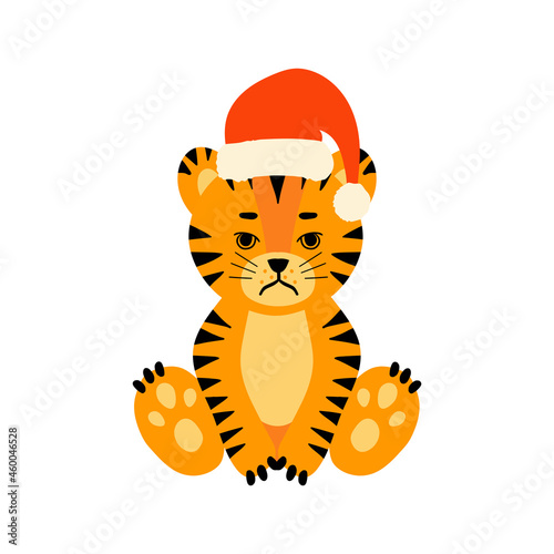 tiger sitting santa hat set dd ww