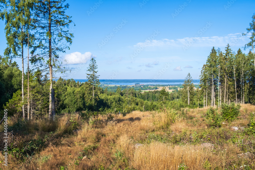 Clear-cutting forest with beautiful views of the countryside