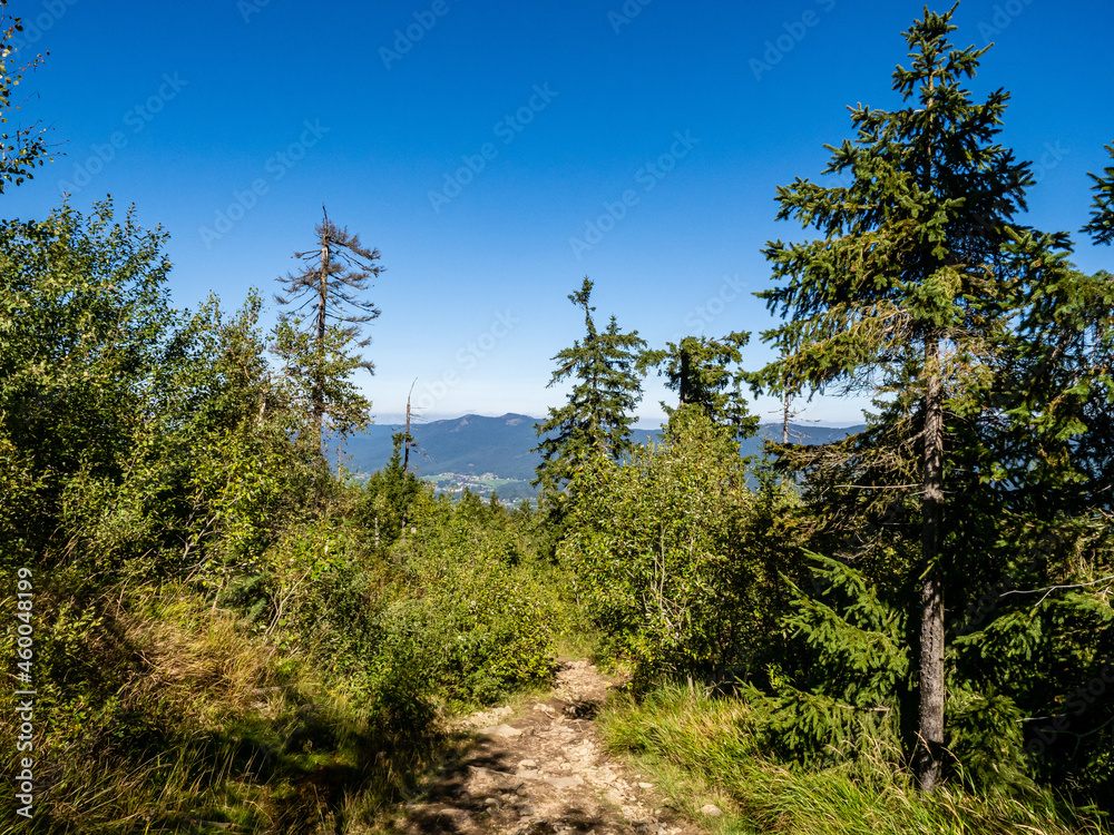 Bayrischer Wald