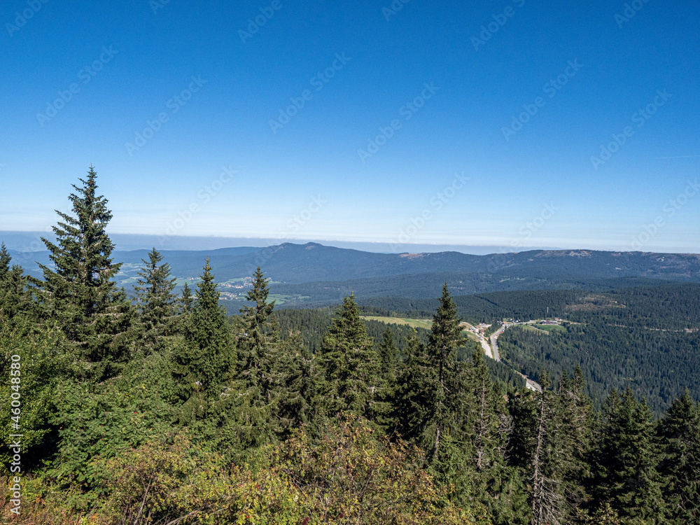 Fototapeta premium Bayrischer Wald