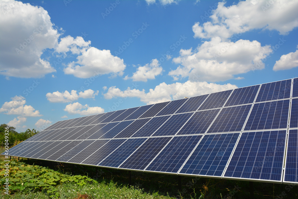 A large ground-mounted solar panel, an alternative energy resource is installed in the backyards of the house near a vegetable garden with pumpkins. A large ground-mounted solar panel, an alternative energy resource is installed in the backyards of the house near a vegetable garden with pumpkins.