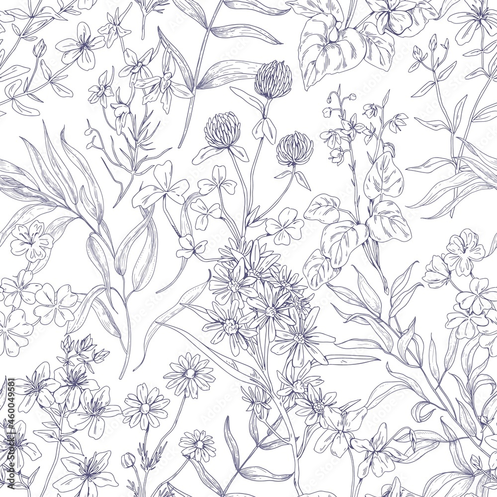 Outlined botanical pattern with wild flowers. Seamless repeating floral background with herbs print. Black and white vintage texture with herbal field plants, wildflowers. Drawn vector illustration