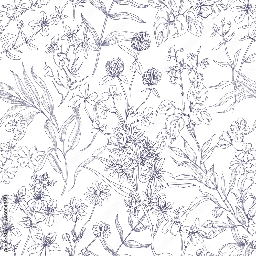 Outlined botanical pattern with wild flowers. Seamless repeating floral background with herbs print. Black and white vintage texture with herbal field plants, wildflowers. Drawn vector illustration