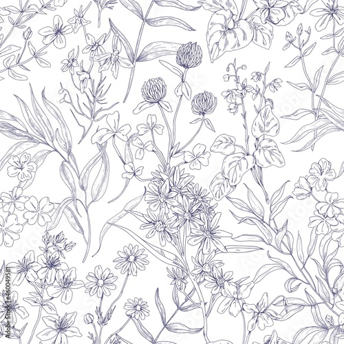 Outlined botanical pattern with wild flowers. Seamless repeating floral background with herbs print. Black and white vintage texture with herbal field plants, wildflowers. Drawn vector illustration